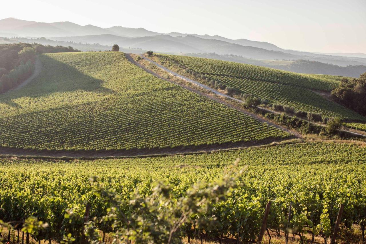 Wine Dievole (adults Only) Vagliagli
