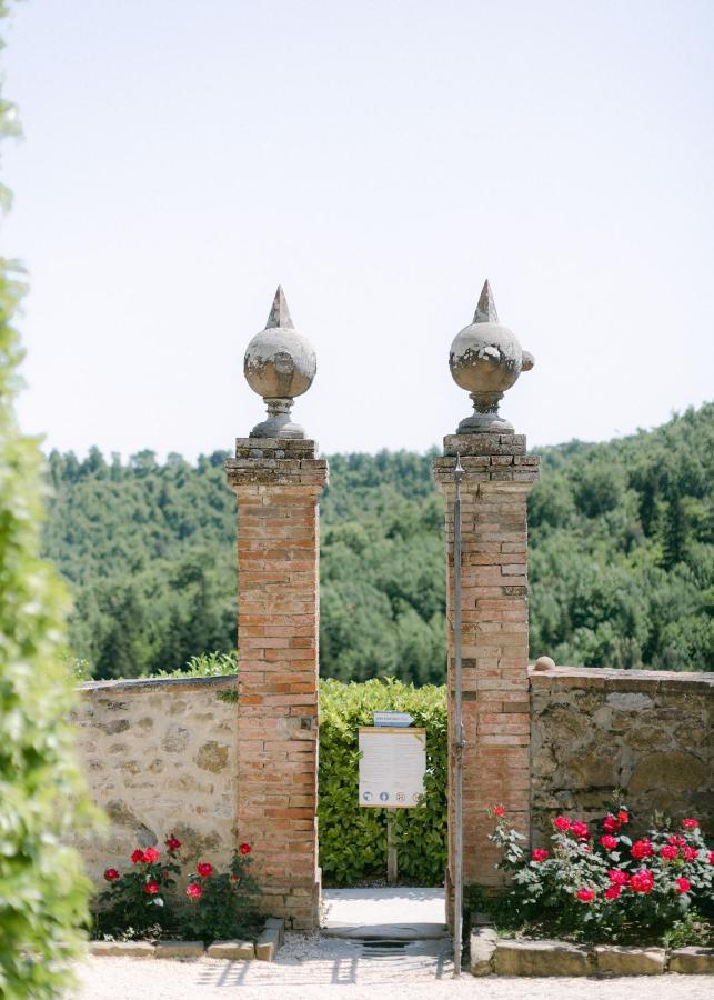 Wine Dievole (adults Only)
