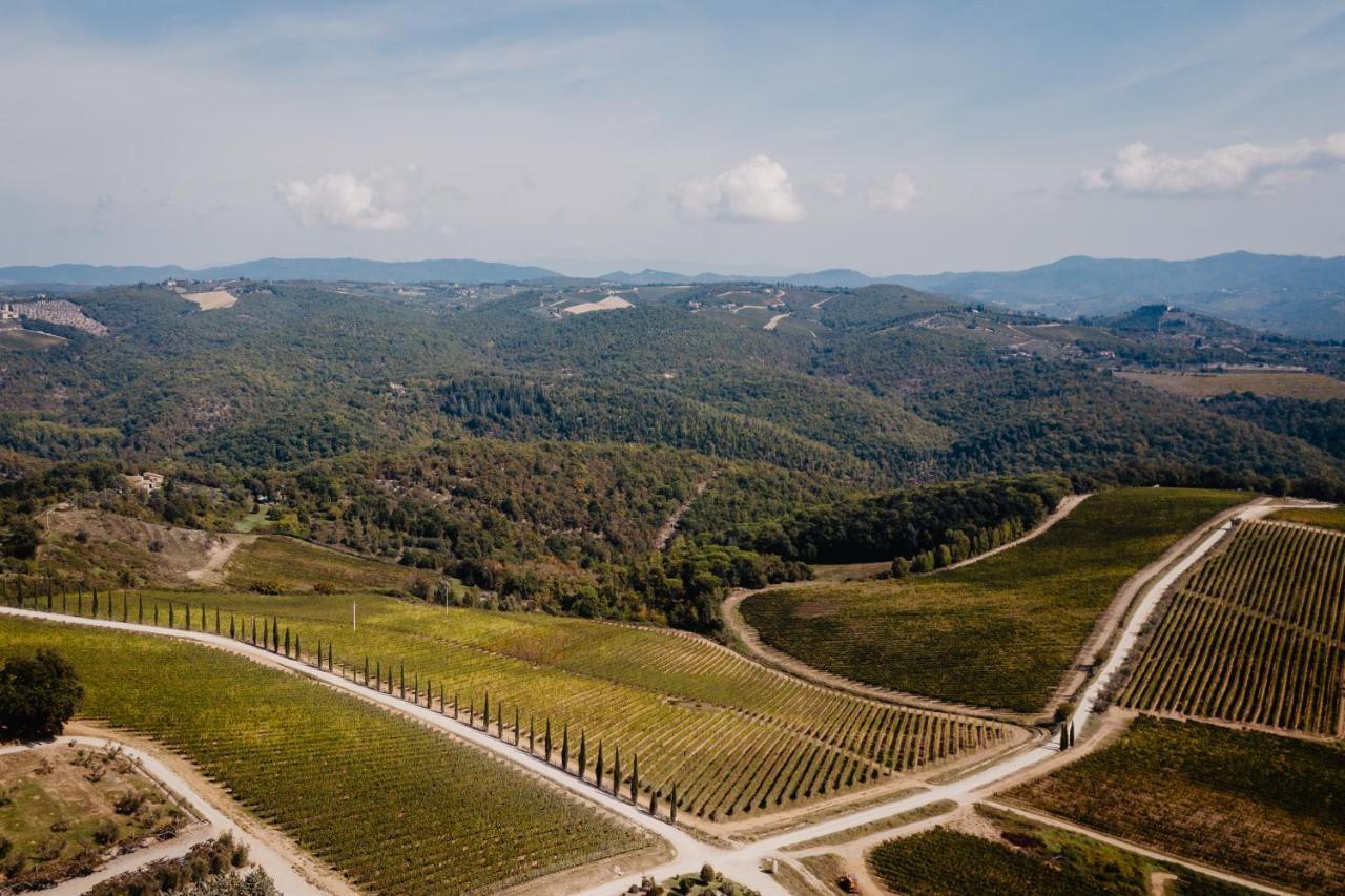 Wine Dievole (adults Only) Vagliagli