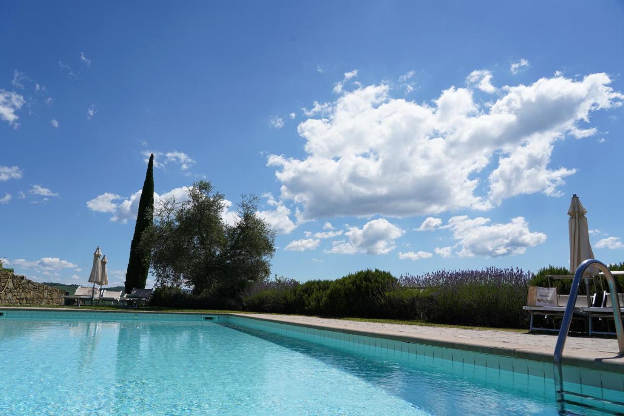 Wine Dievole (adults Only) Vagliagli